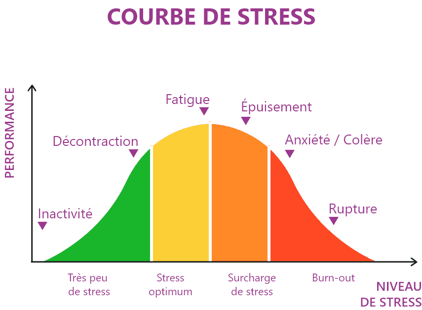 Courbe du stress : Très peu de stress (inactivité), Stress optimum (Fatigue), Surcharge de stress (Épuisement) et Burn-out (Anxiété / Colère, Rupture)