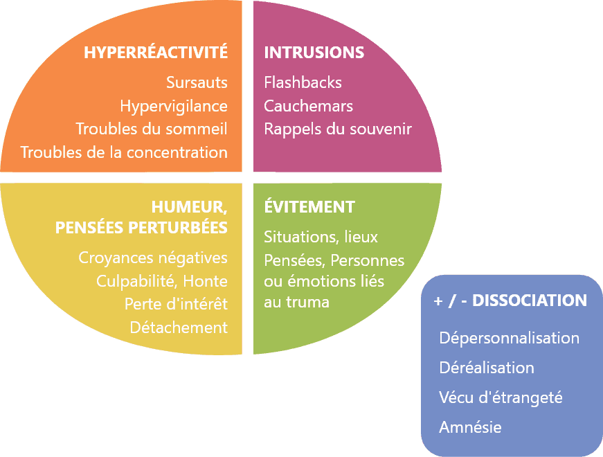 Manifestation de stress aigu : Hyperréactivité, Intrusion, Humeur, Pensées perturbées, Évitement, +/- Dissociation
